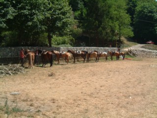  Image name: DSCF2796.JPG 
 width: 320 pixel 
 height: 240 pixel 
 Size: 27645 bytes 
 Click to enlarge 